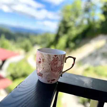 Mountain View, Grand Monastery Pamporovo, Location Apartment *